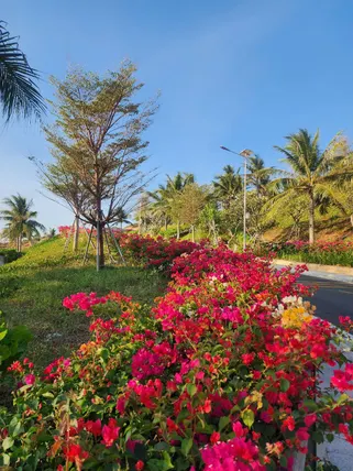 Ảnh MANDALA CHAM BAY MUI NE - Căn Hộ 