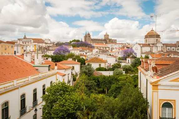 Ảnh Evora Olive Hotel