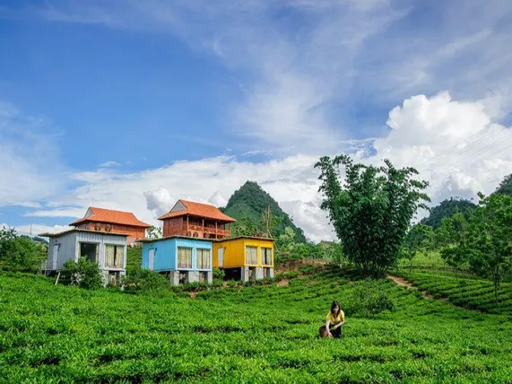 Ảnh Mộc Châu Arena Village