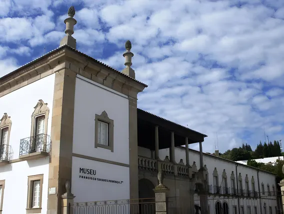 Ảnh Hotel Rainha D. Amelia, Arts & Leisure