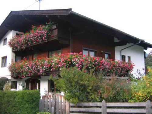 Ảnh Alpbach Apartments