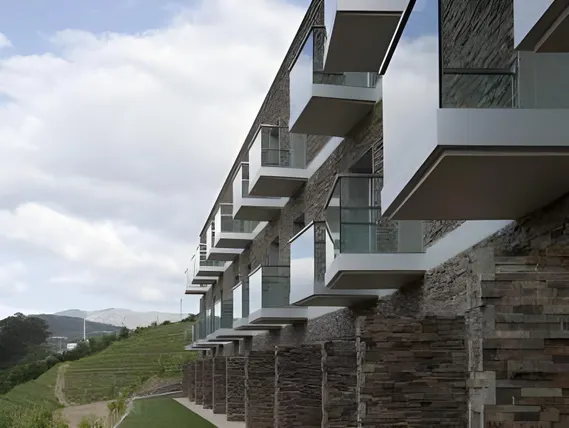 Ảnh Delfim Douro Hotel