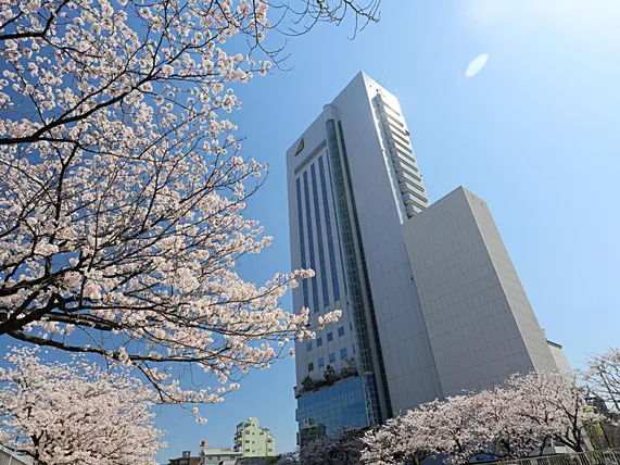 Ảnh OMO 7 Kochi, By Hoshino Resort