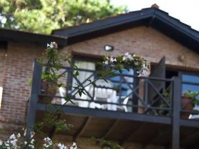 Ảnh Carilo Paradise Apart Hotel & Spa