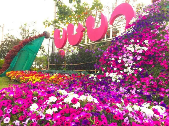 Ảnh Phurua Bussaba Resort & Spa 