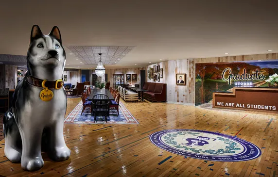 Ảnh Graduate by Hilton Storrs