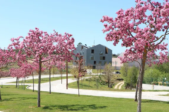 Ảnh Cró Hotel and Termal Spa