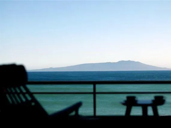 Ảnh Atagawakan Hotel