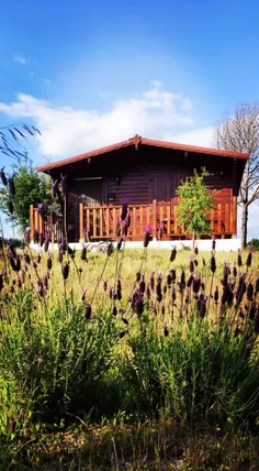 Ảnh Nhà trệt 40 m² 1 phòng ngủ, 1 phòng tắm riêng ở Travancinha