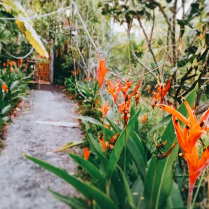 Ảnh Nông Trại Thảnh Thơi