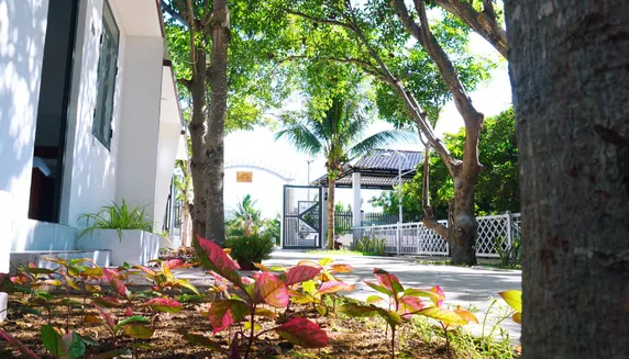 Ảnh Hải An Homestay - Garden by the Beach