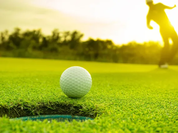 Ảnh Best Western Halito Inn