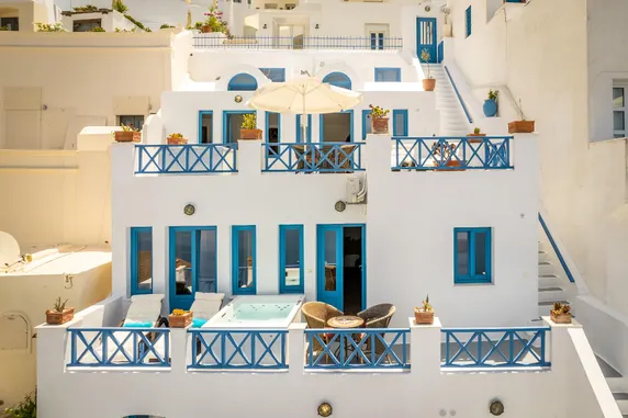 Ảnh Golden Grey Goose