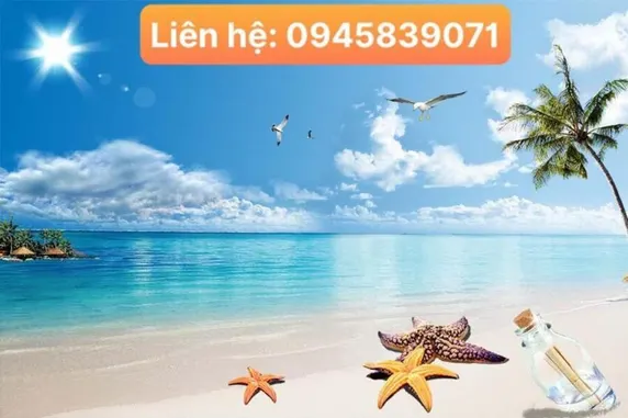 Ảnh Căn hộ Altara Quy Nhơn