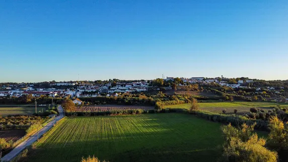 Ảnh Lilases Boutique House & Garden