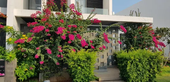 Ảnh Khu nghỉ dưỡng Oceanami Long Hải Vũng Tàu