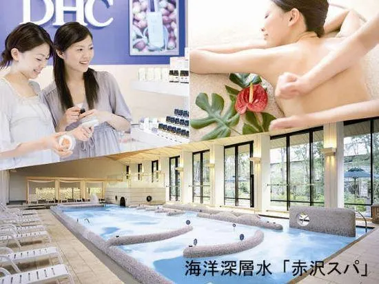 Ảnh Akazawa Onsen Hotel