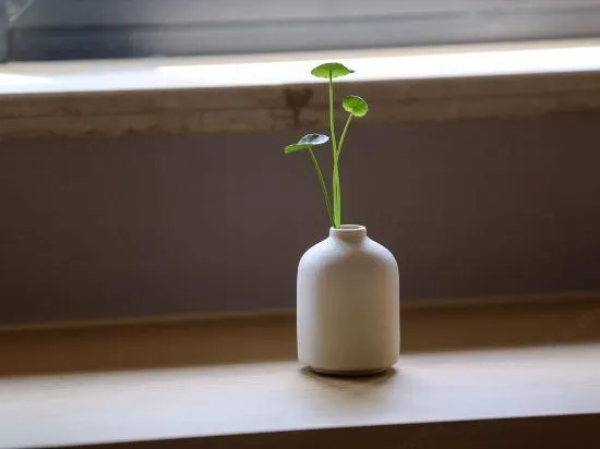 Ảnh Edinburgh Holiday Hotel Hangzhou