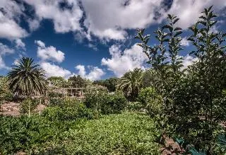 Ảnh Aethos Sardinia