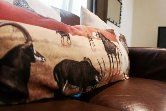 Ảnh Thompson Art House