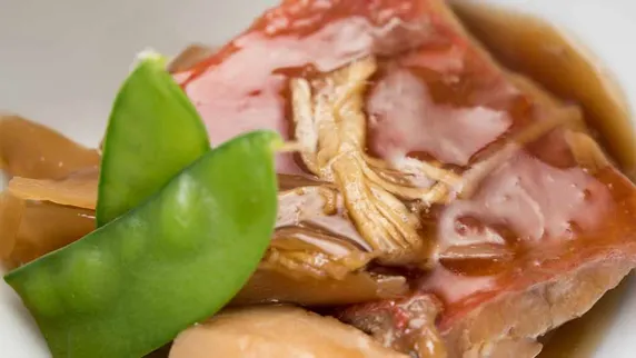 Ảnh Nippon Ryokan Ito Onsen Yokikan