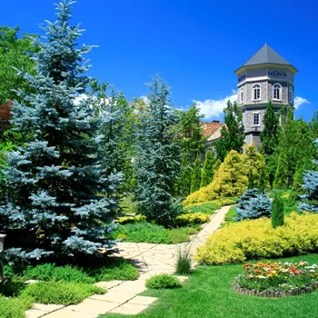 Ảnh Tateyama Prince Hotel