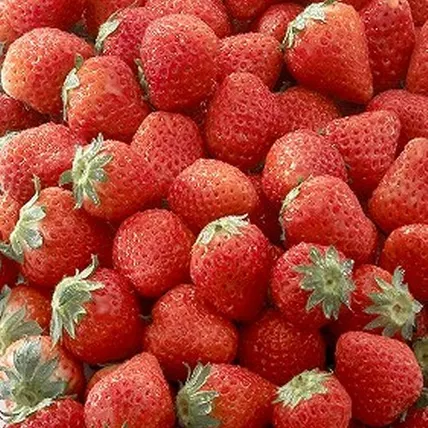 Ảnh Yurui no Yado Keizan Ryokan