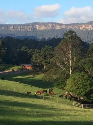 Ảnh Amaroo Valley Springs