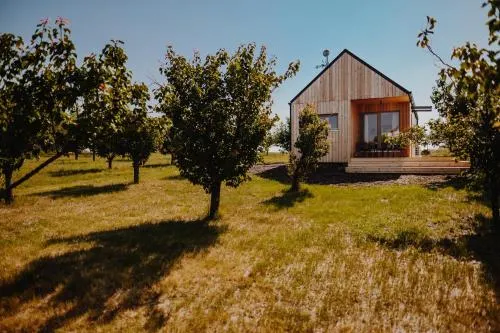 Ảnh Saldorfske domky