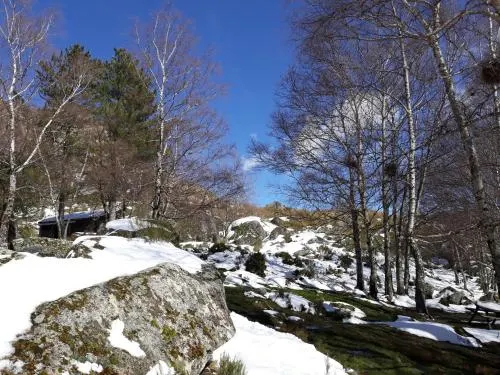 Ảnh A Mansão do Mé-Mé