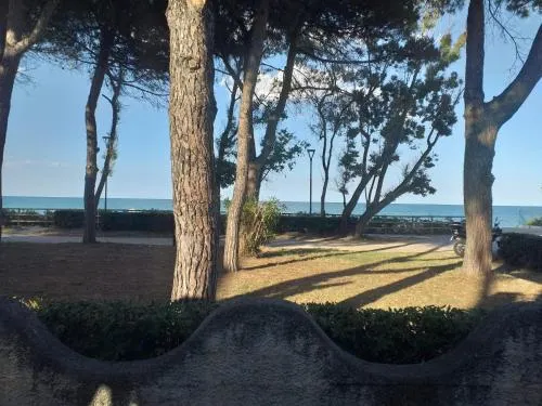 Ảnh Bright quadruple room a stone throw from the sea