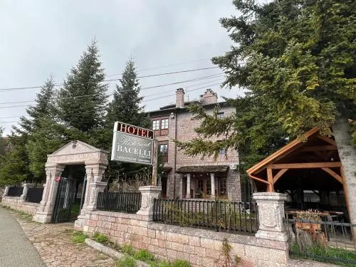 Ảnh HOTEL BACELLI VOSKOPOJE