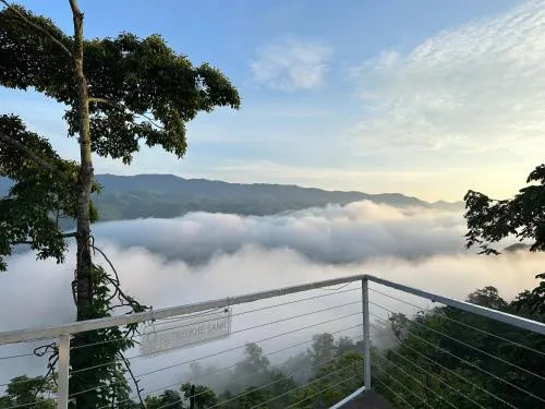 Ảnh Nhà riêng 1000 m² 8 phòng ngủ, 7 phòng tắm riêng ở Khe Sanh