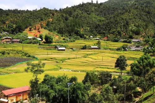 Ảnh Lam Ecolodge Mu Cang Chai