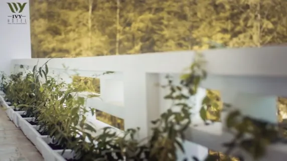 Ảnh Khách Sạn Ivy Hải Tiến