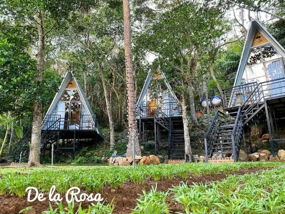 Ảnh Homestay De la Rosa - Con Đao