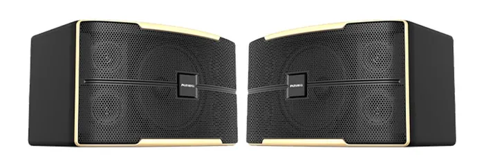 Loa karaoke 10 Inches Paramax Z-1500