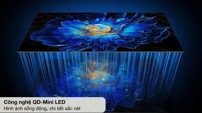 Google Tivi QD-Mini LED TCL AI 4K 55 inch 55C6KS - Công nghệ hình ảnh