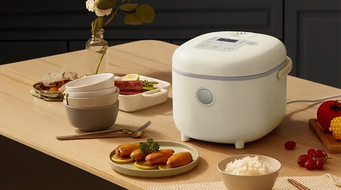 Thiết kế trang nhã - Nồi cơm điện tử Bear 1 lít RC-4H30U