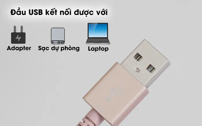 Cáp Lightning MFI 2m Mbest DS951-WB Gold - Đầu USB