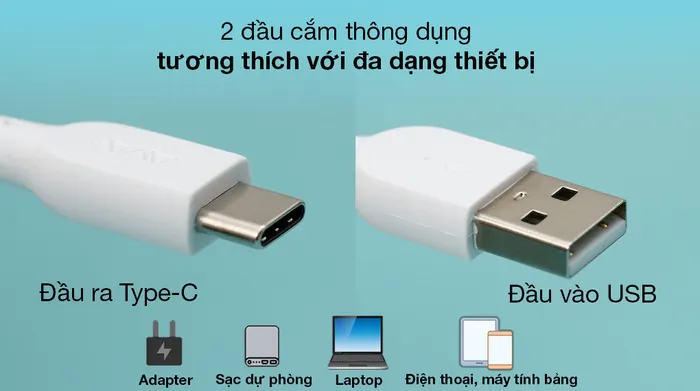 Cáp Type C 2m AVA+ DS08C - Tương thích với nhiều loại thiết bị khác nhau với 2 jack kết nối USB và Type-C