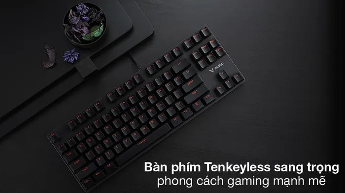 Tenkeyless - Bàn Phím Cơ Có Dây Gaming Rapoo V500alloy Đen