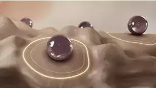09