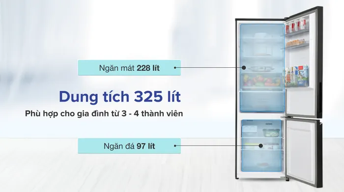 Tủ lạnh Panasonic Inverter 325 lít NR-BC361VGMV - Dung tích sử dụng