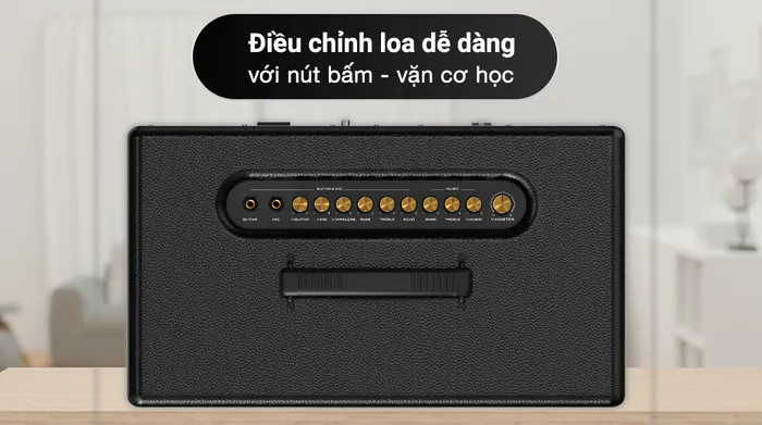Loa karaoke xách tay PASION 2 - Điều khiển