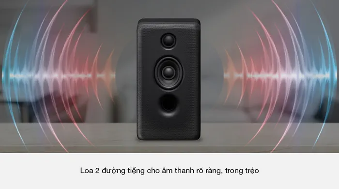 Loa sau không dây tùy chọn Sony SA-RS3S - Mẫu loa 2 đường tiếng
