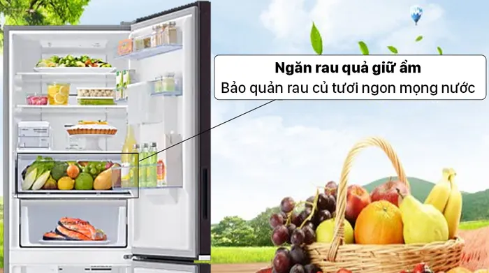 Tủ lạnh Samsung Inverter 307 lít RB30N4190BY/SV - Bảo quản trái cây mọng nước