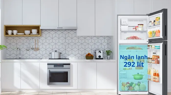 Dung tích ngăn lạnh trên Tủ lạnh Samsung Inverter 385 lít RT38CB668412SV