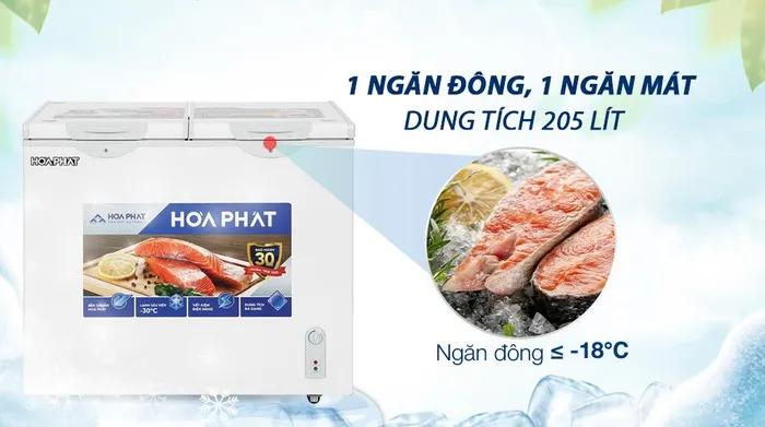 Tủ đông Hòa Phát 205 Lít HPF BD6205 - Tổng quan thiết kế