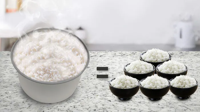 Dung tích 2 lít - Nồi cơm điện Cuckoo 2 lít CR-1122